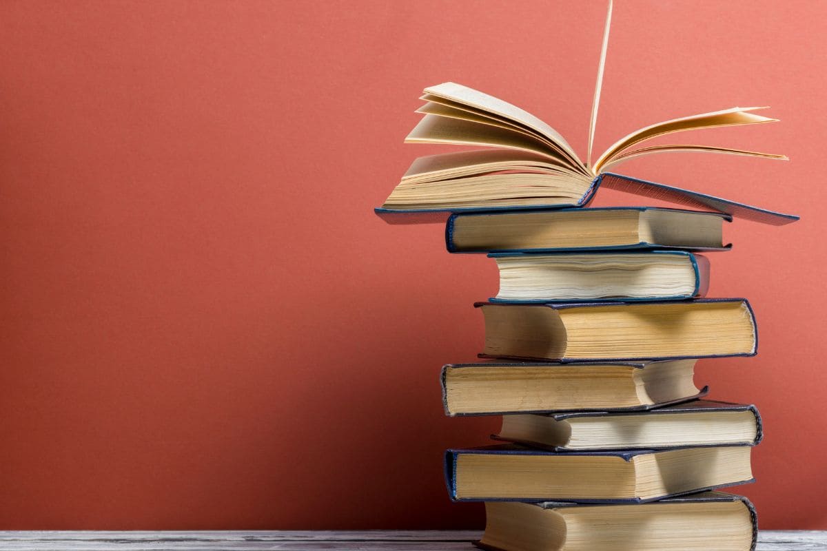 O RECADO DO MORRO – Guimarães Rosa (Resumo)