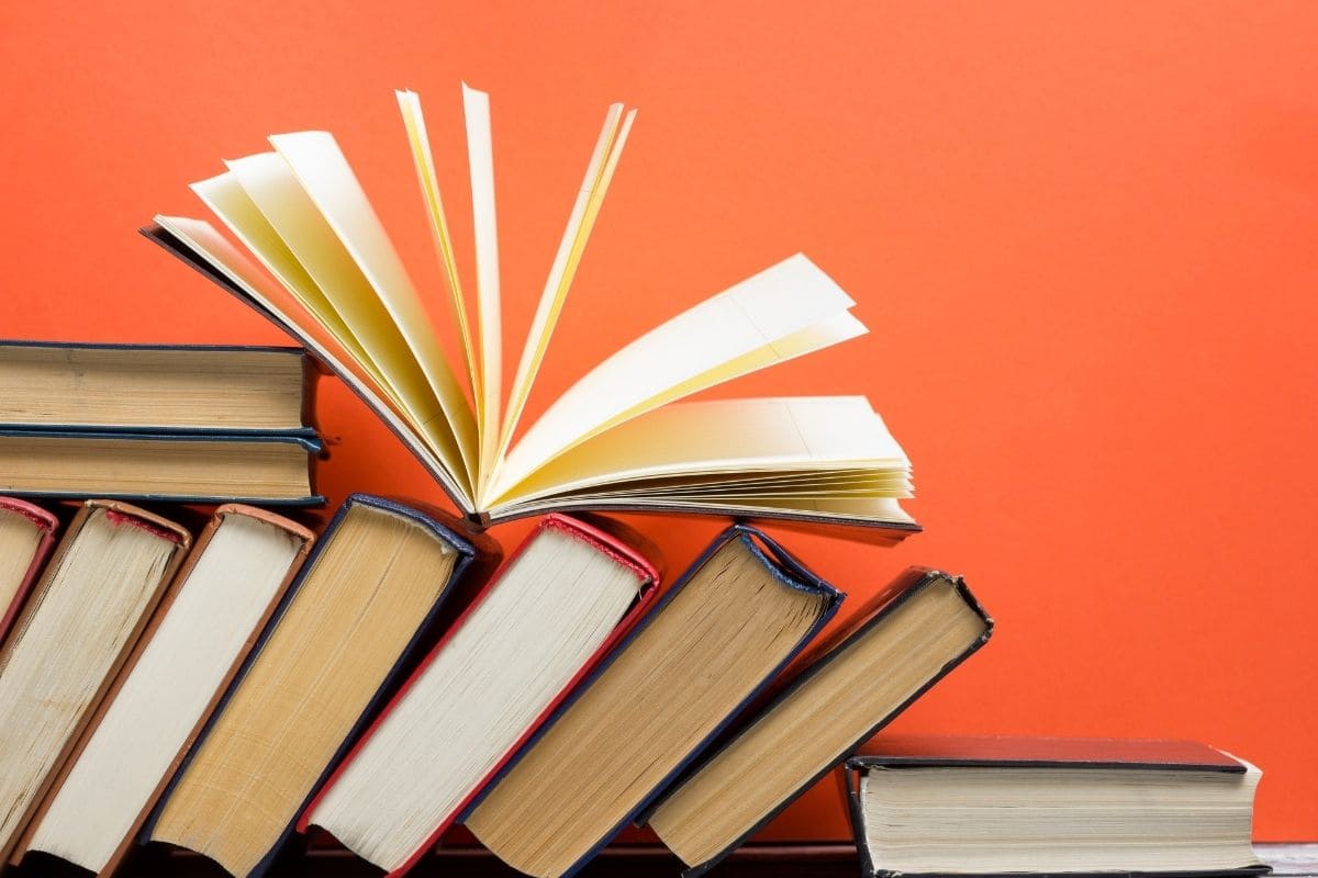 LAÇOS DE FAMÍLIA – Clarice Lispector (Resumo) – Parte 1