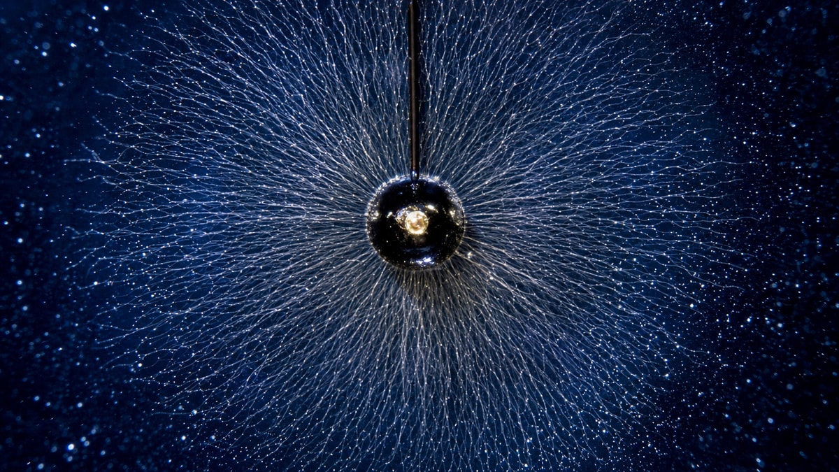 Visualização experimental de linhas de campo elétrico Partículas em meio líquido alinhadas radialmente ao redor de um eletrodo esférico simulando linhas de campo elétrico